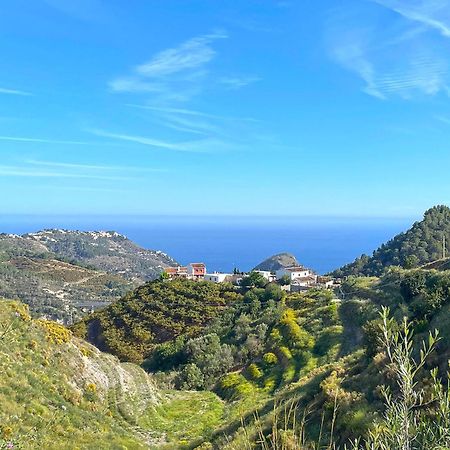 Villa Francisca Malaga Bagian luar foto
