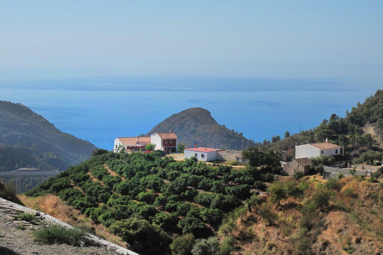 Villa Francisca Malaga Bagian luar foto